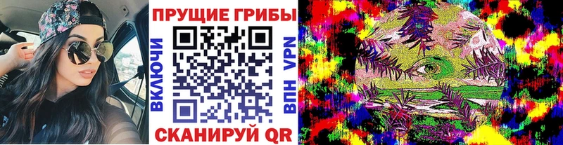 даркнет сайт  Мамадыш  Псилоцибиновые грибы Psilocybe 